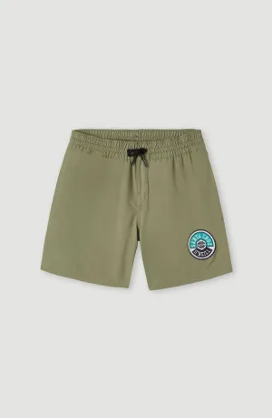 Cali State 14'' Badehose | Deep Lichen Green