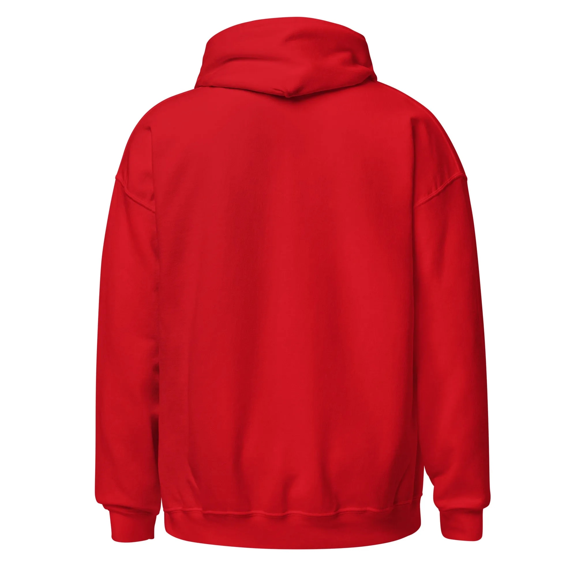 Celestial Moon Phase Embroidered Unisex Hoodie
