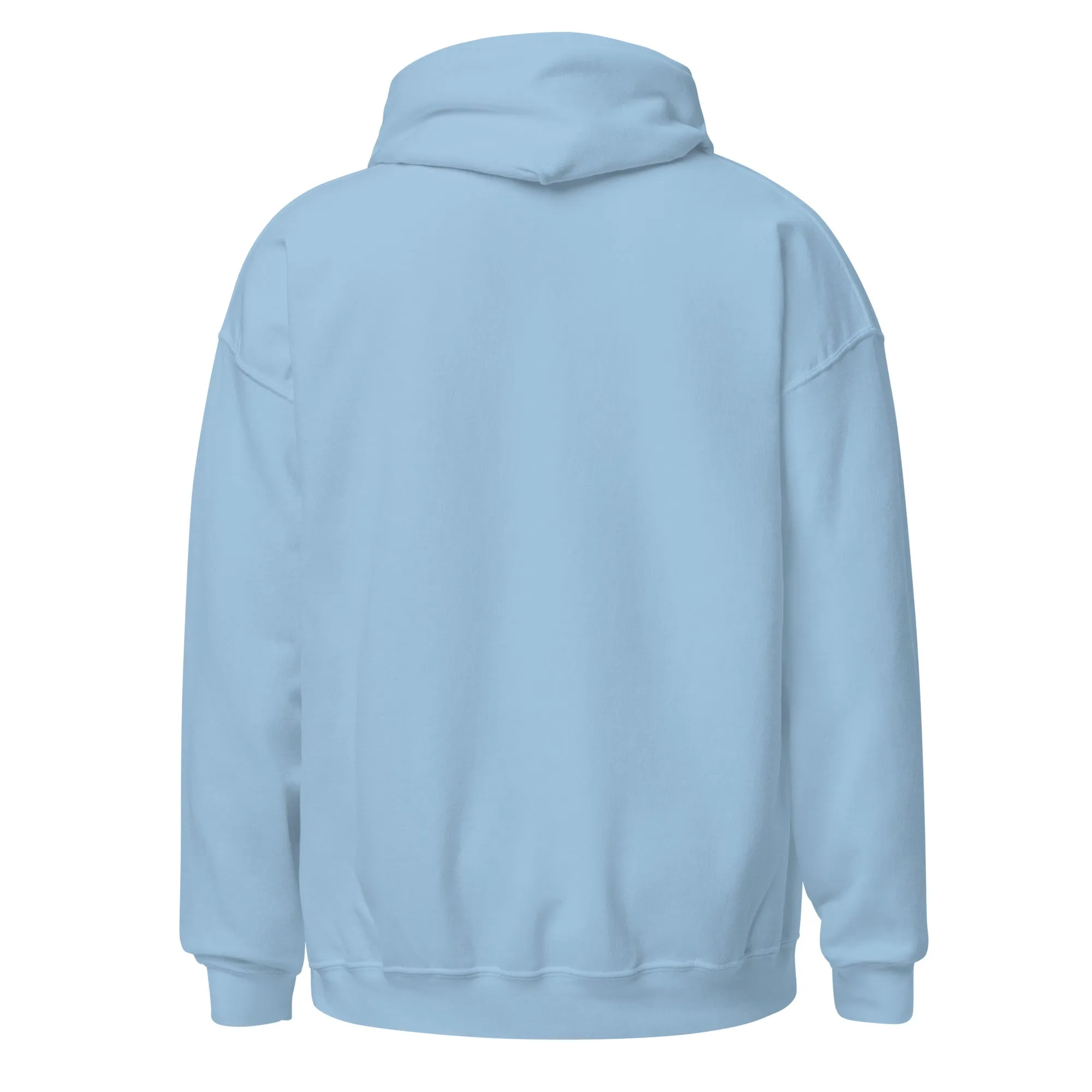 Celestial Moon Phase Embroidered Unisex Hoodie
