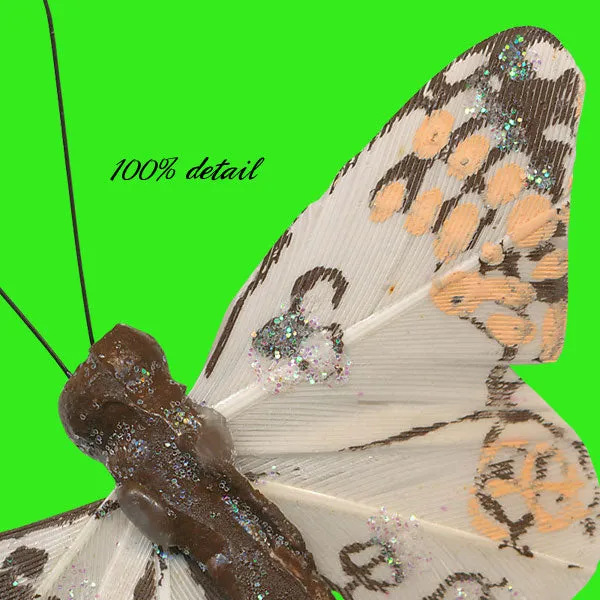 Feather Butterflies, Volume 01