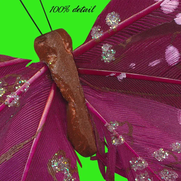Feather Butterflies, Volume 02