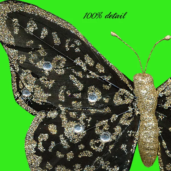 Feather Butterflies, Volume 06
