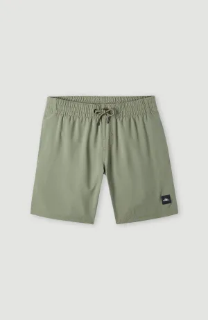 Future Surf Society 14'' Badehose | Deep Lichen Green