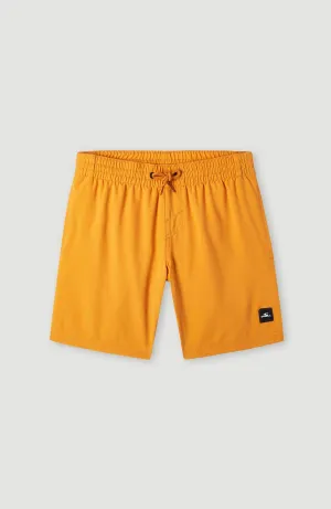 Future Surf Society 14'' Badehose | Nugget
