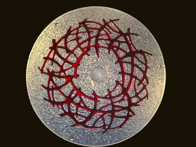 Garnet Bramble Cone