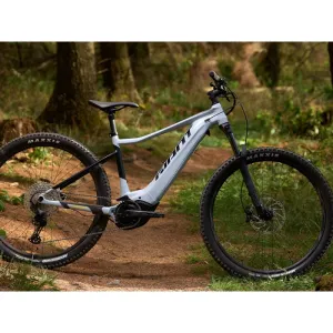 Giant Smart EnergyPak Integrated Battery