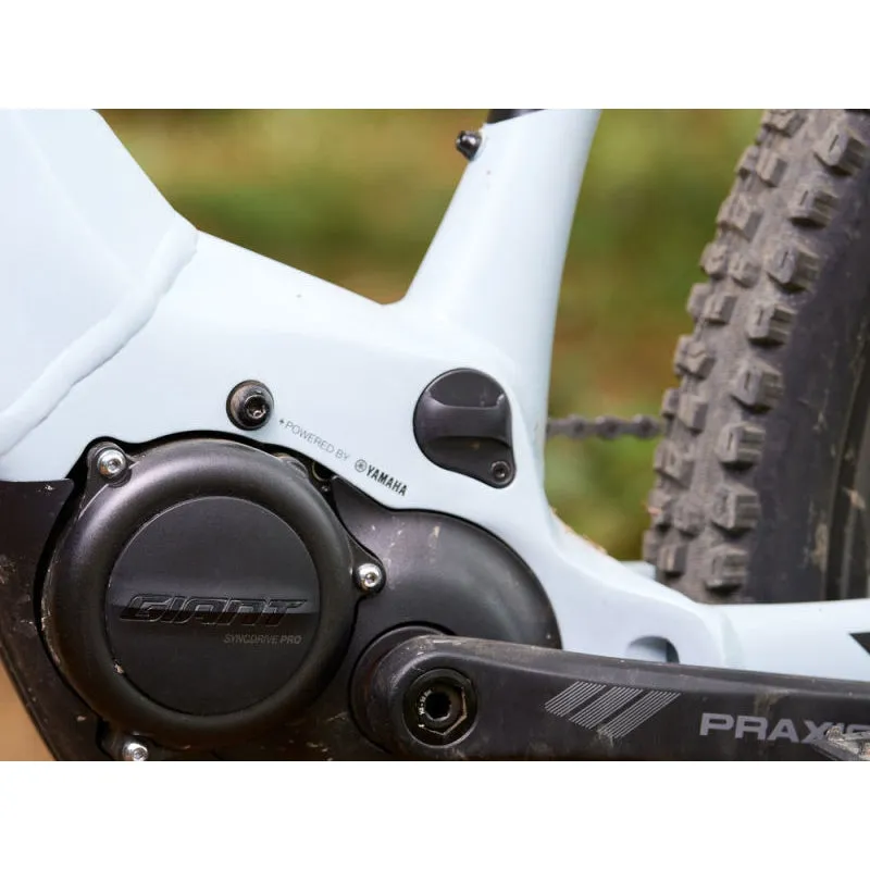 Giant Smart EnergyPak Integrated Battery