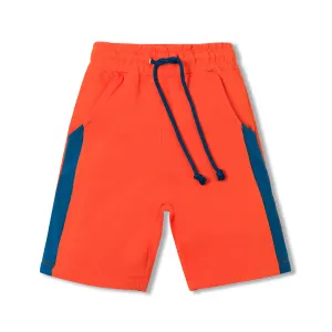 Gourami Shorts