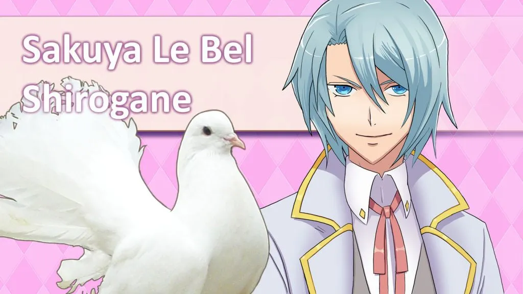 Hatoful Boyfriend (PC/MAC/LINUX)