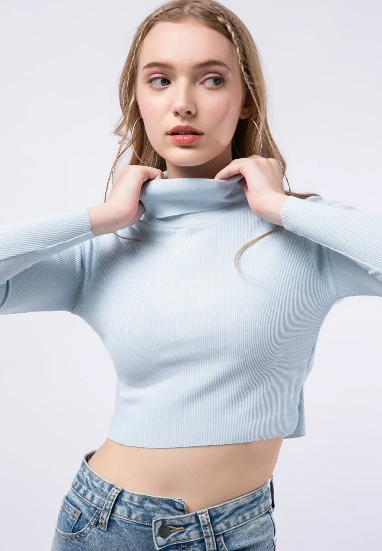 High Neck Crop Top