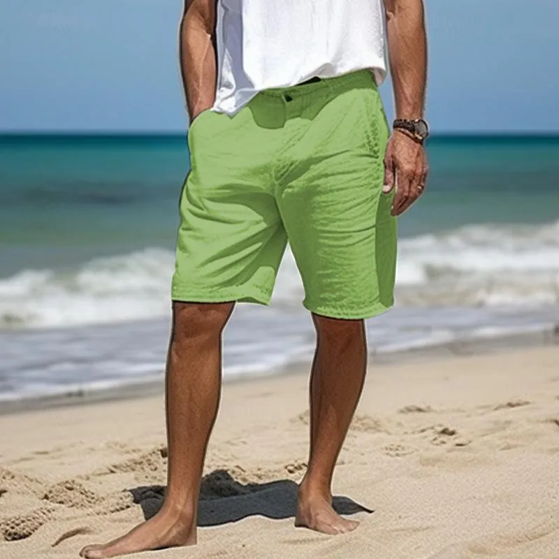 Hudson Linen Shorts