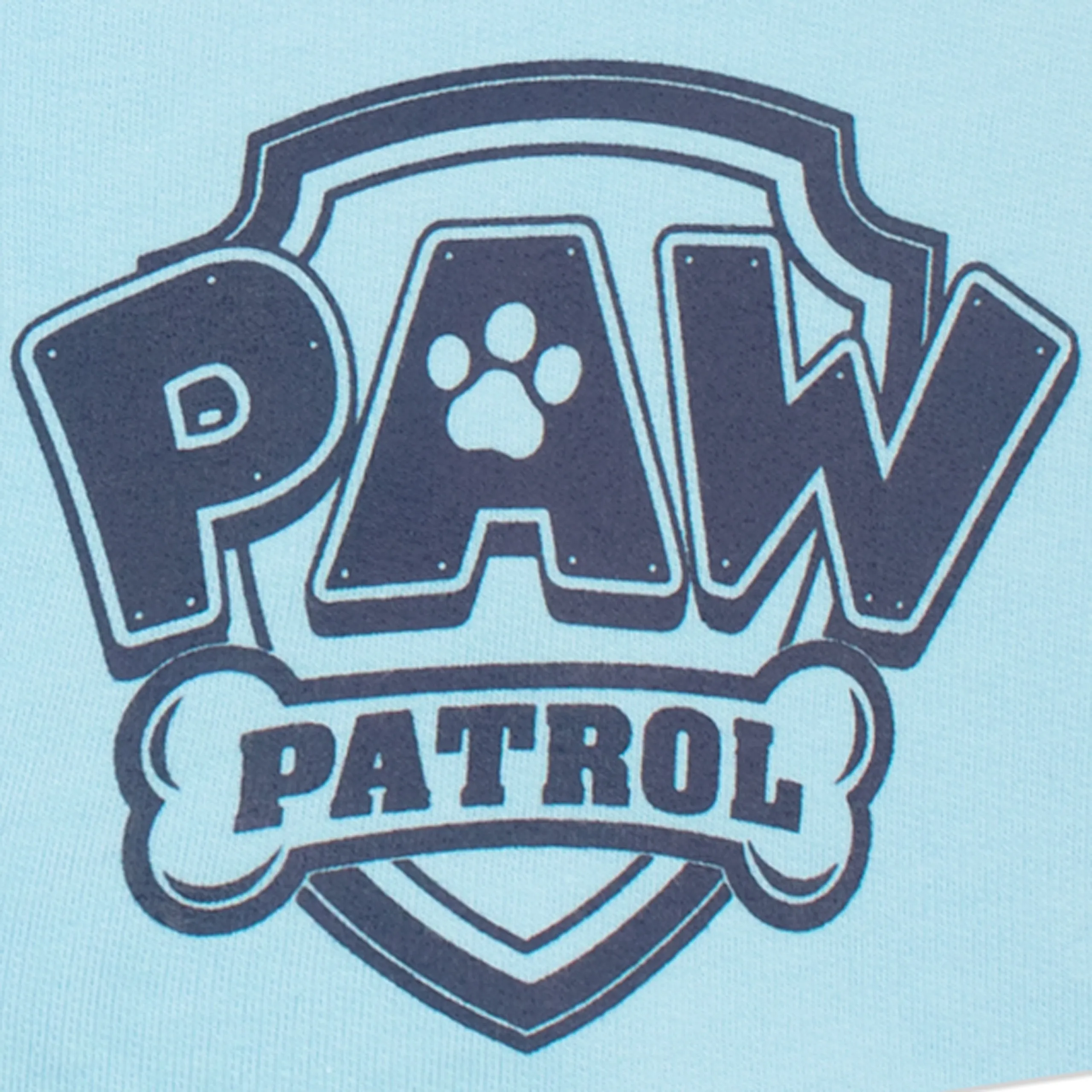 Kids Paw Patrol T-Shirt and Shorts Set