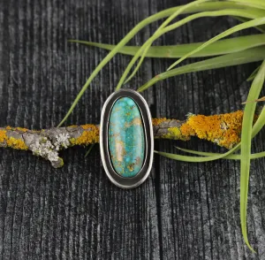 Kingman Turquoise Shadowbox Ring No.10