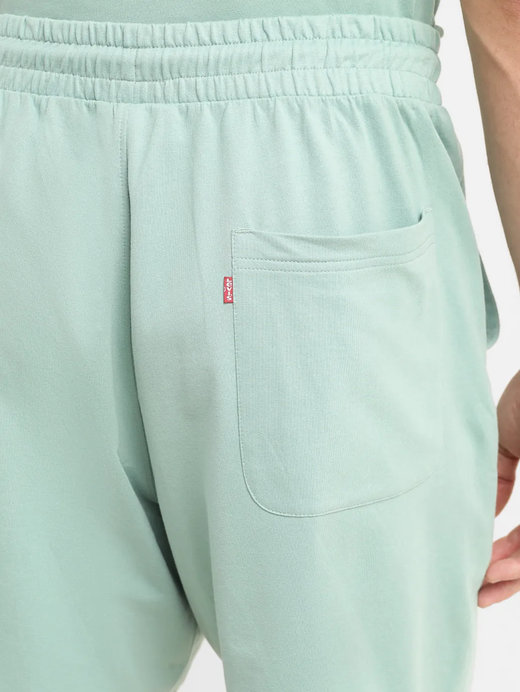 Men's Green Regular Fit Shorts