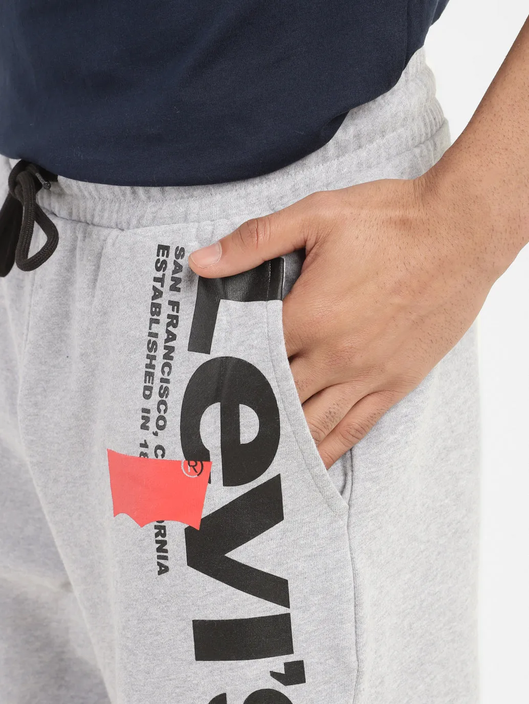 Men's Regular Fit Shorts