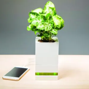 Modular Smart Pot (Quick Charger)