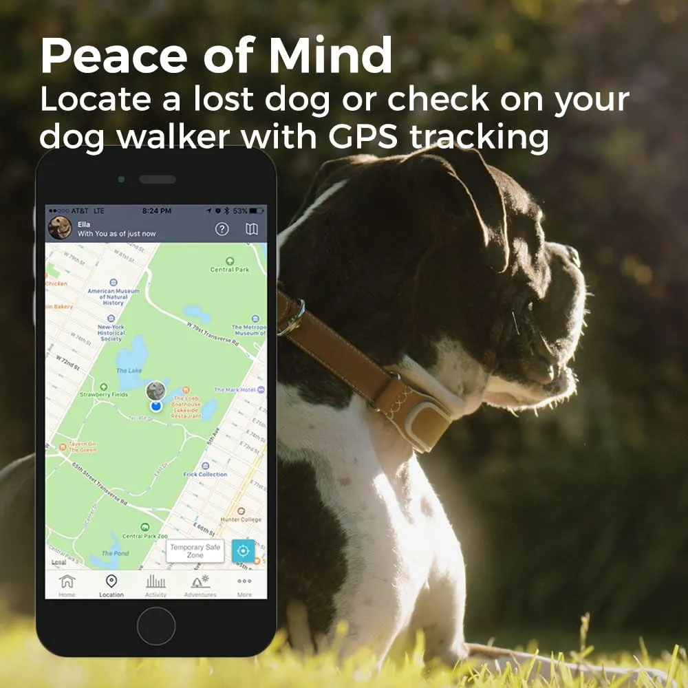 New Link AKC Smart Dog Collar - GPS Location Tracker, Activity Monitor, and More, Large Retails $150 US 