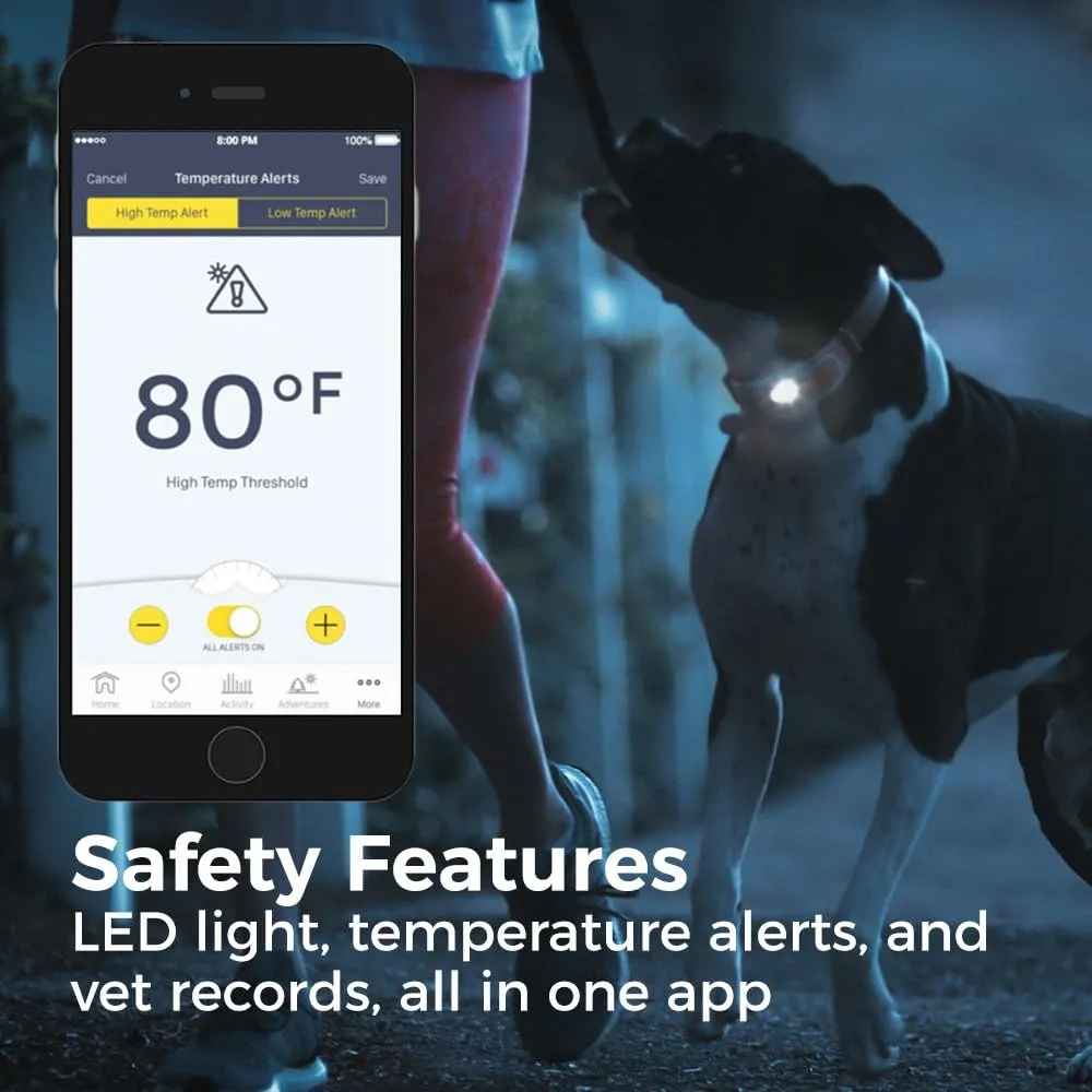 New Link AKC Smart Dog Collar - GPS Location Tracker, Activity Monitor, and More, Large Retails $150 US 