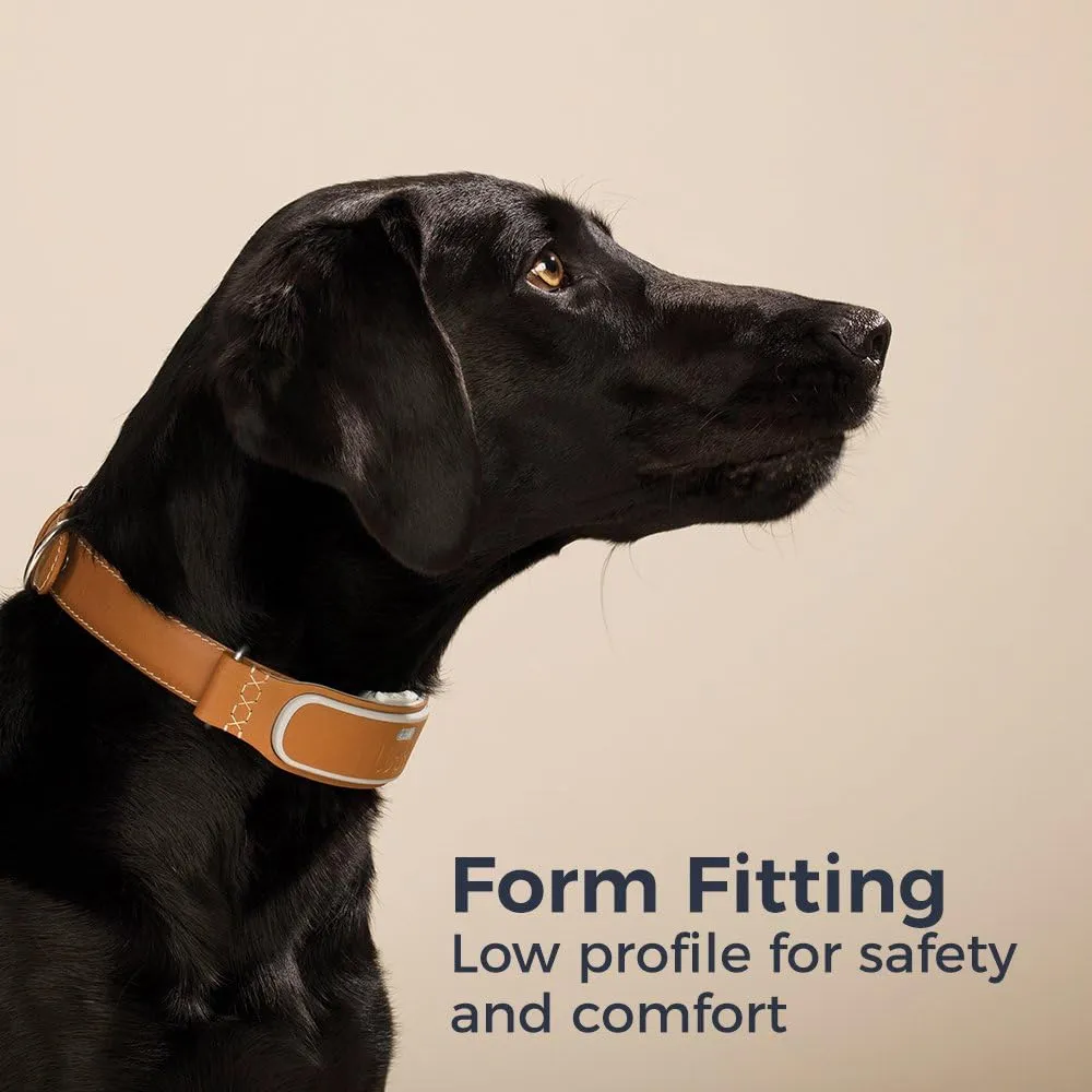 New Link AKC Smart Dog Collar - GPS Location Tracker, Activity Monitor, and More, Large Retails $150 US 
