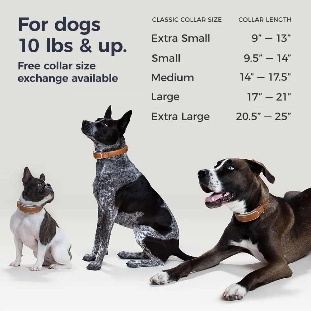 New Link AKC Smart Dog Collar - GPS Location Tracker, Activity Monitor, and More, Large Retails $150 US 