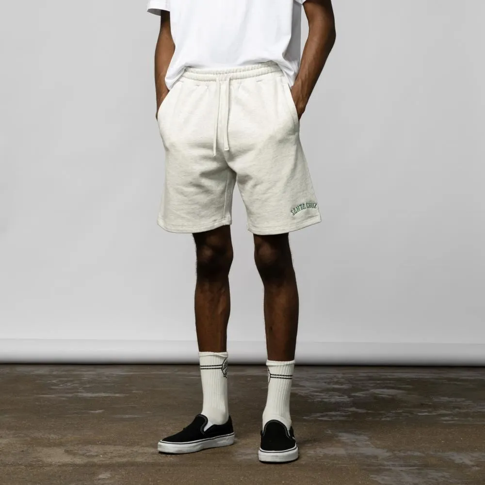 Santa Cruz Shorts Collegiate - Athletic Heather