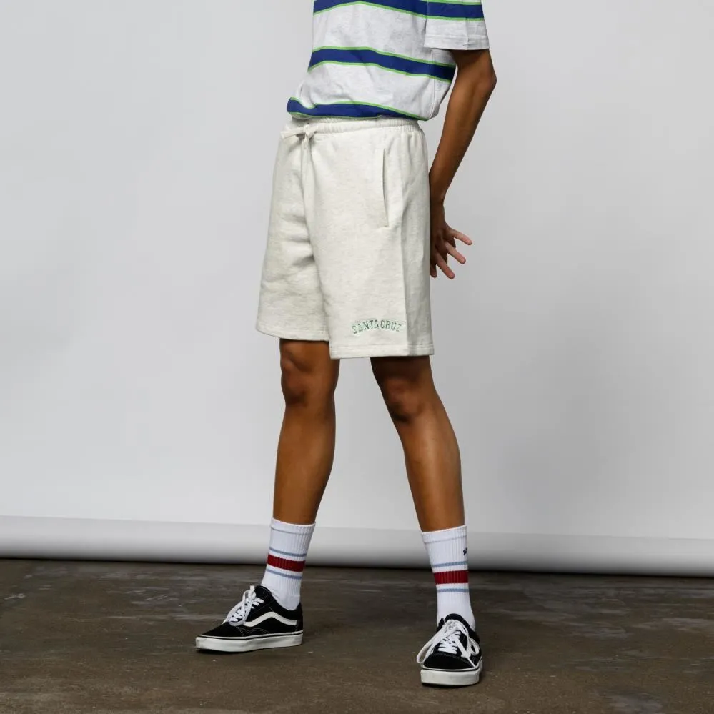 Santa Cruz Shorts Collegiate - Athletic Heather