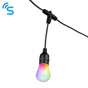Saxby 96198 Smart Festoon IP44 0.5W Clear & black pc 12 x 0.5W LED module (SMD 5050) RGB