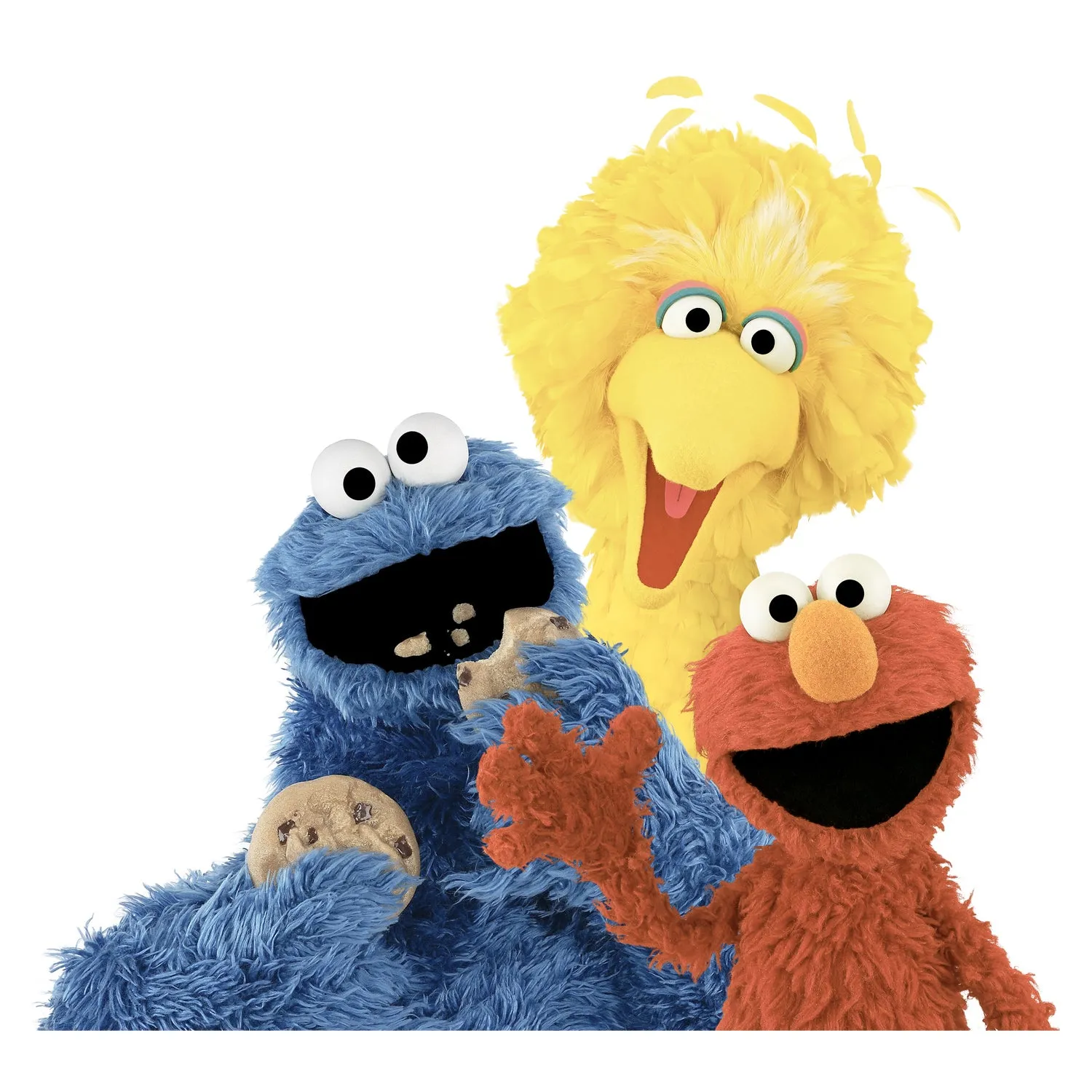 Sesame Street Group Photo Wave Official Women's T-shirt (White)
