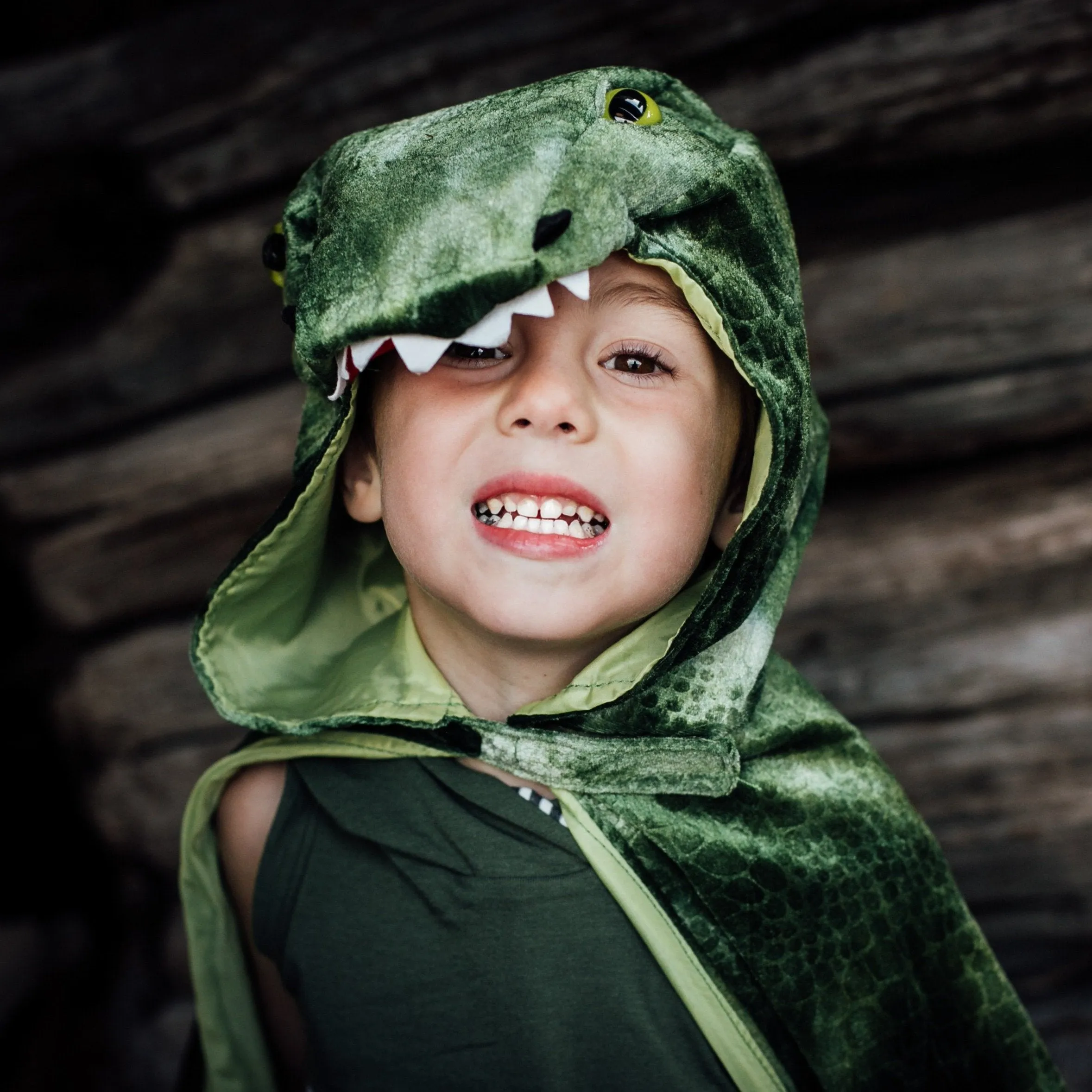 T-Rex Hooded Dinosaur Cape
