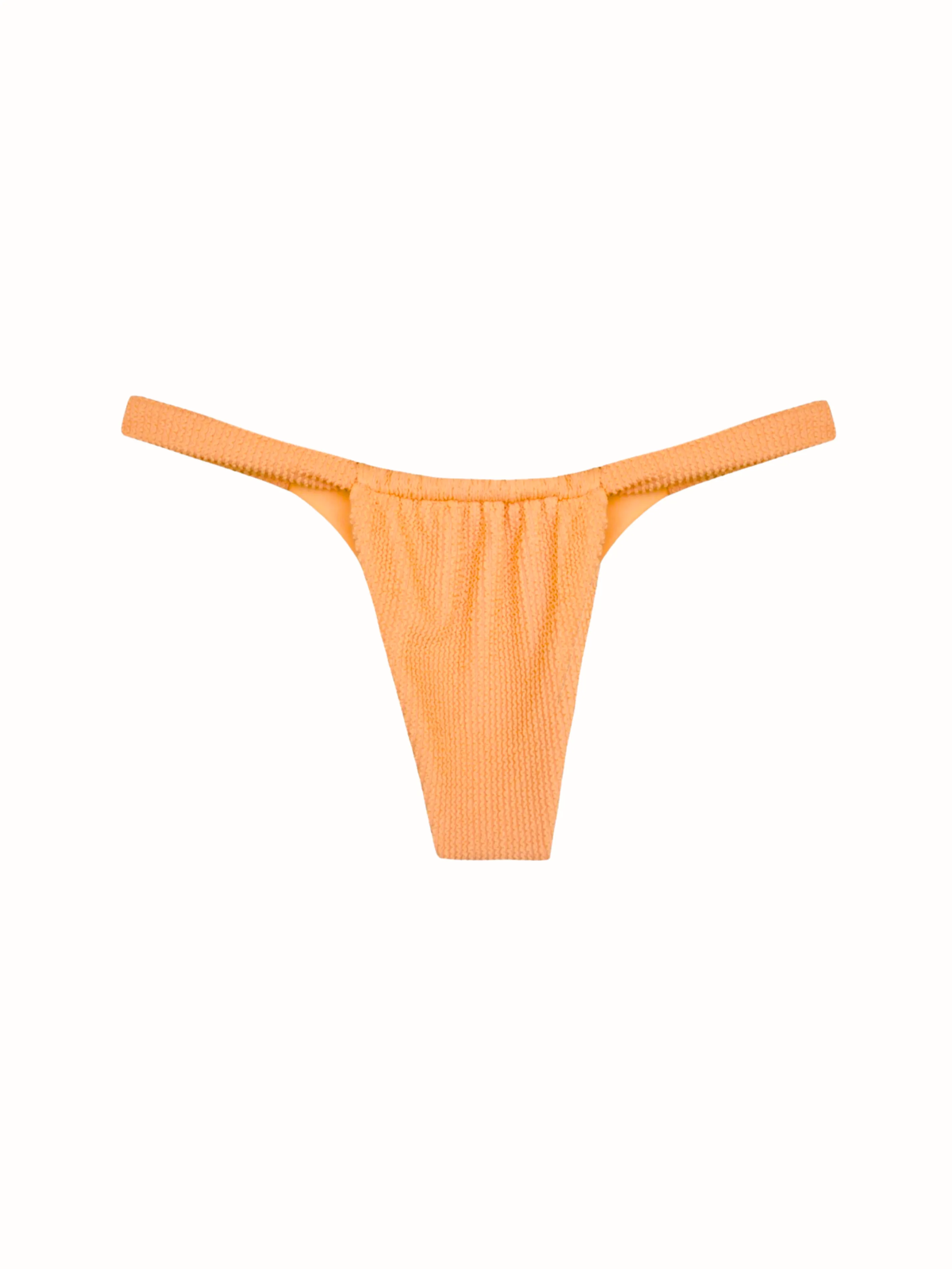 Textured Eve 2.0 Bikini Bottom